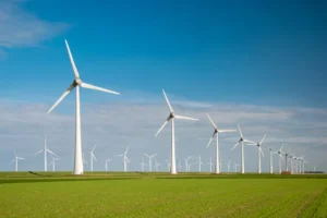 Field of wind turbines